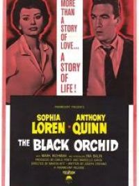 affiche du film L'orchidée noire