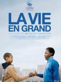 affiche du film La Vie en grand