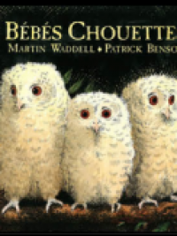 affiche du film Bébés chouettes