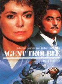 affiche du film Agent Trouble