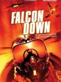 Falcon down
