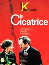 affiche du film La Cicatrice