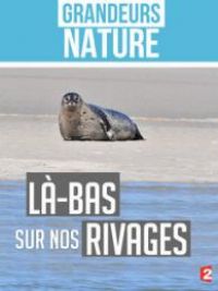 affiche du film Là-bas, sur nos rivages (Docu-Reportage)