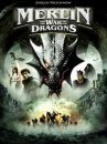 affiche du film Merlin and the War of the Dragons