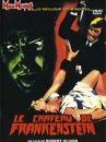 affiche du film Le Château de l'horreur