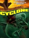 affiche du film Cyclone