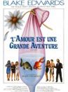 affiche du film L'amour est une grande aventure