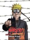 affiche du film Naruto Shippuden: Blood prison