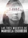 affiche du film Marisela Escobedo : Une tragédie en trois actes