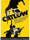 affiche du film Catlow