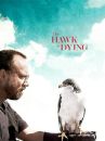 affiche du film Dressé pour vivre - The Hawk Is Dying