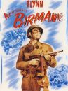 affiche du film Aventures en Birmanie