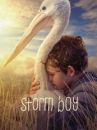 affiche du film Storm Boy