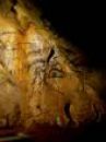 affiche du film Quand homo sapiens faisait son cinéma (Docu-Reportage)