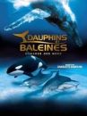 affiche du film Dauphins et baleines : Nomades des mers