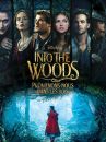 affiche du film Into the Woods : Promenons-nous dans les bois