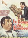 affiche du film Le Coup de bambou