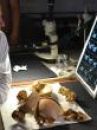 affiche du film Neandertal et ses secrets (Docu-Reportage)