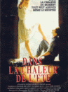 affiche du film Kaleldo