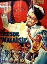 affiche du film Le trésor de Malaisie