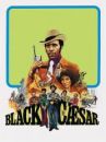 affiche du film Black Cesar, le parrain de Harlem