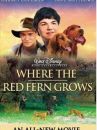 affiche du film Where the Red Fern Grows 