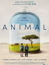 affiche du film Animal
