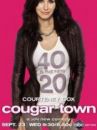 Affiche de la série Cougar Town 
