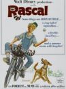 affiche du film Un Raton nommé Rascal