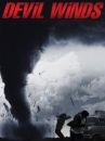 affiche du film The Last Disaster - dans l'oeil du cyclone