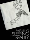 affiche du film Waking Sleeping Beauty