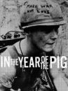 affiche du film Vietnam, année du cochon
