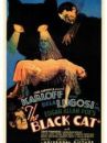 affiche du film Le Chat noir