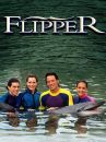 affiche de la série Flipper