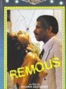 affiche du film Remous