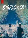 affiche du film Bigflo & Oli : Presque Trop