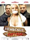 affiche du film Bienvenue au cottage