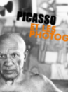 affiche du film Picasso et les photographes (Docu-Reportage)