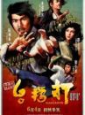 affiche du film Kung-Fu masters