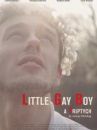 affiche du film Little Gay Boy
