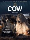 affiche du film Cow