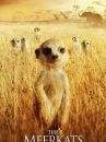 affiche du film La Famille Suricate