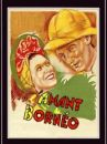 affiche du film L'amant de Bornéo