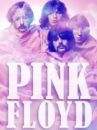 affiche du film Pink Floyd, 1982-2012 : Les 30 ans de The Wall
