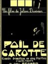 affiche du film Poil de carotte