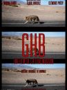 affiche du film G.H.B.