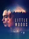 affiche du film Little Woods