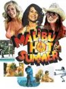 affiche du film Malibu Hot Summer