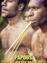 affiche du film Papous, entre deux mondes (Docu-Reportage)
