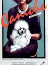 affiche du film Caniche